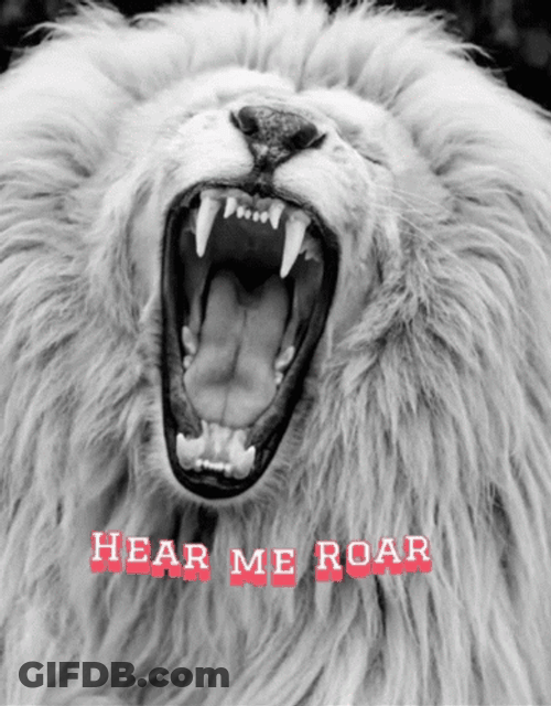 Lions Roaring Hear Me GIF