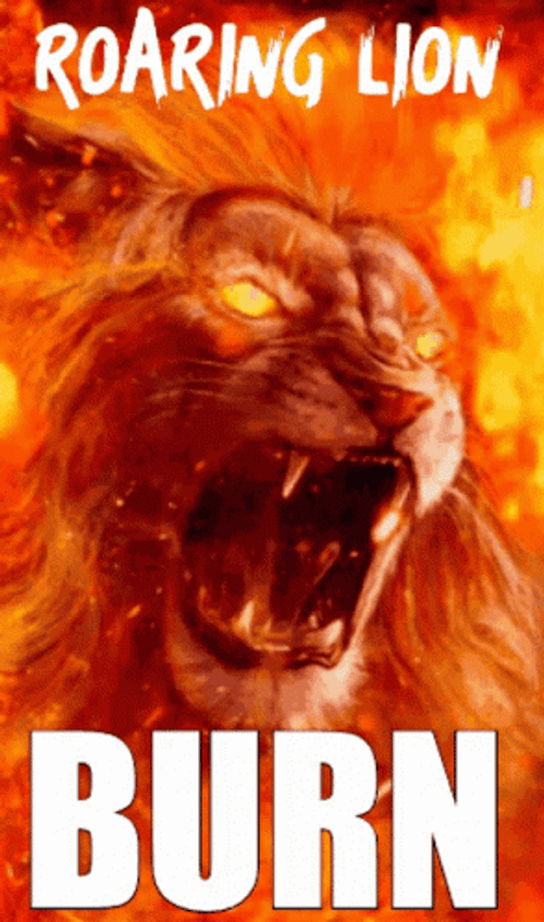 Lions Roaring On Fire GIF