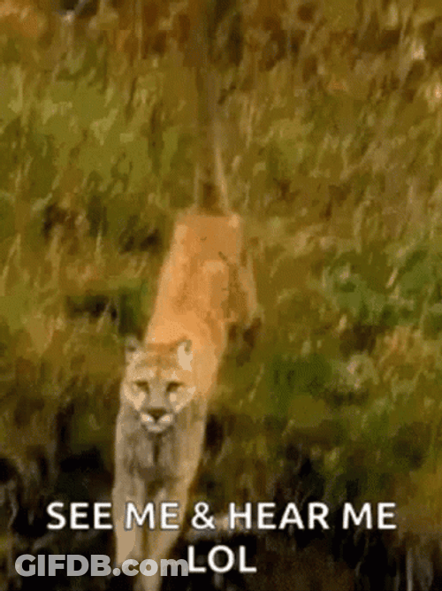 Lions Roaring On Waters GIF