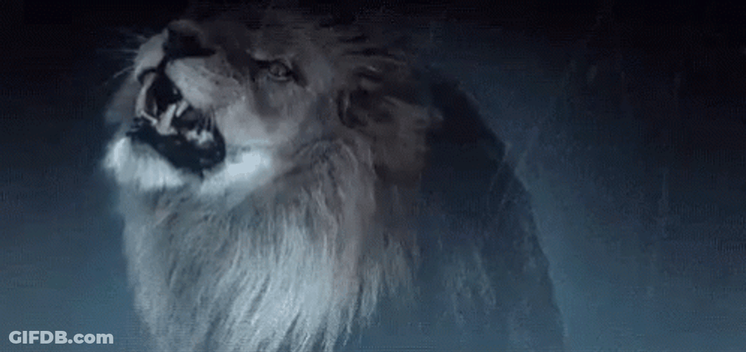 Lions Roaring Through The Storm GIF
