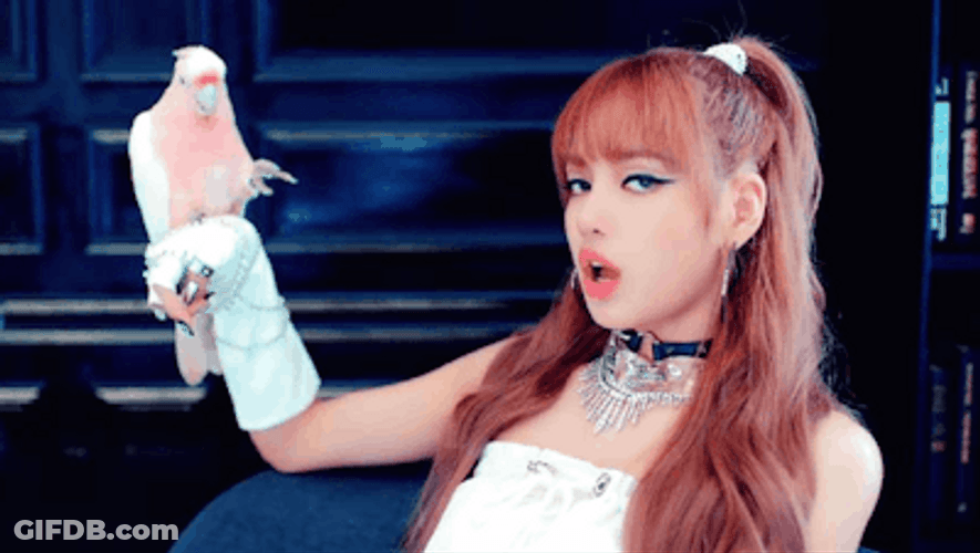 Lisa Of Blackpink Singing With Bird On Hand GIF