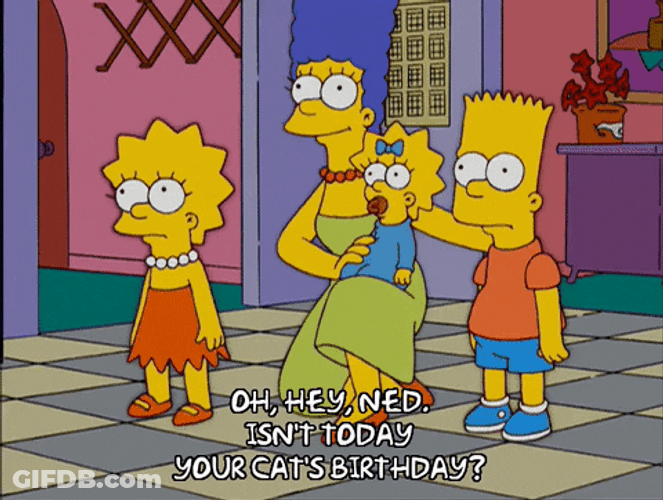 Lisa Simpsons Birthday Cat Surprise GIF