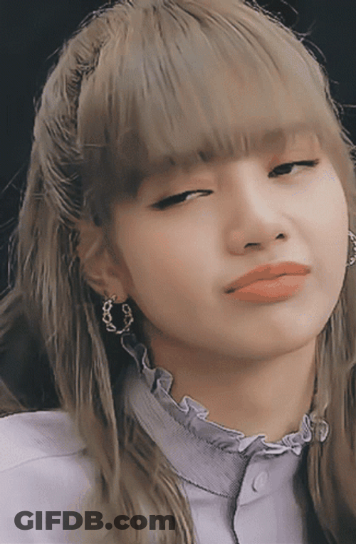 Lisa Sorry Its A No GIF