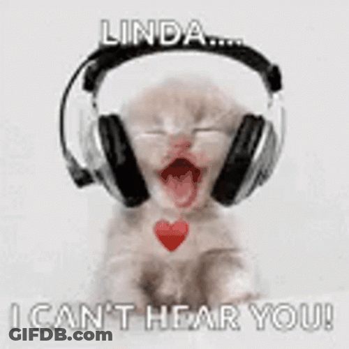 Listen Linda Cute Kitten Headphone GIF