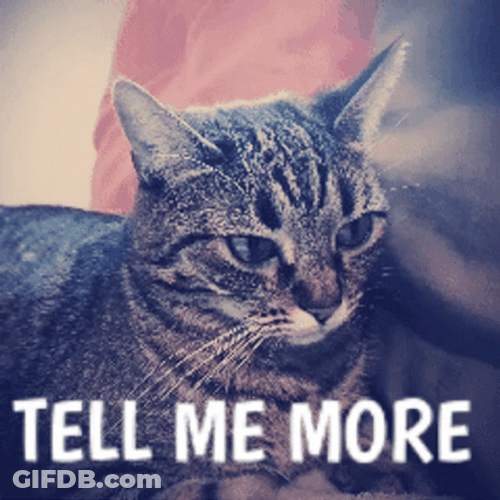 Listening Cat Tell Me More Quote GIF