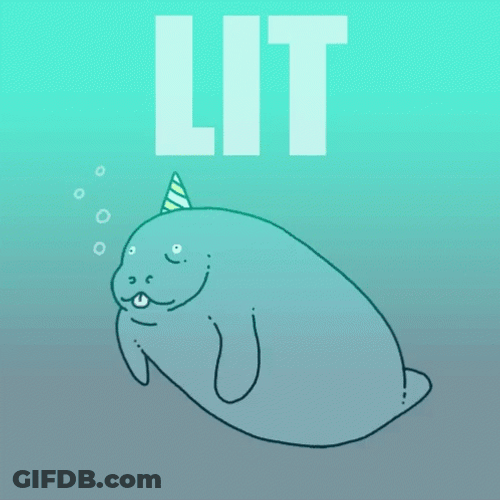 Lit Manatee Illustration GIF