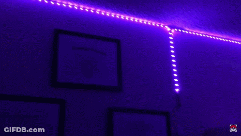 Lit Skeleton Light Bulb In Dark GIF