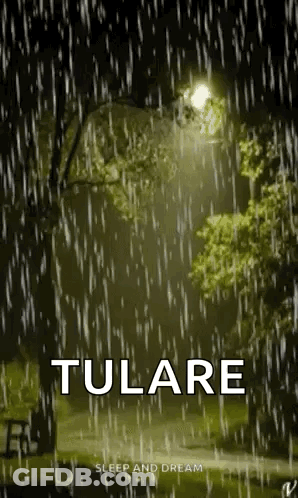 Lit Street Light In Rainy Park GIF
