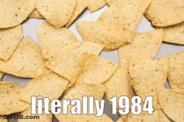 Literally 1984 Chips And Salsa GIF
