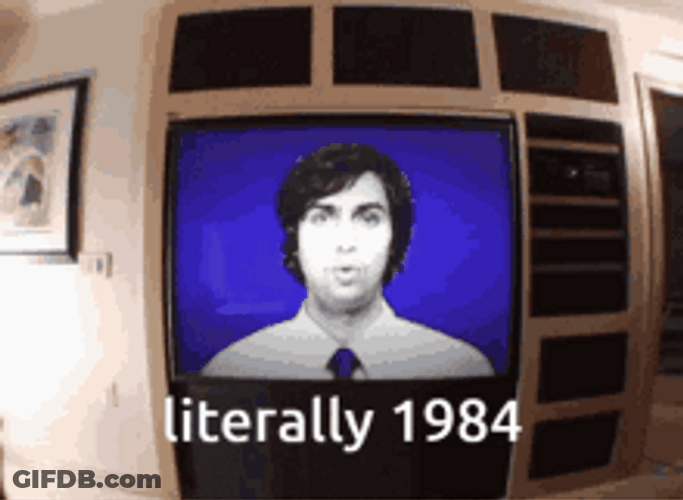 Literally 1984 TV GIF