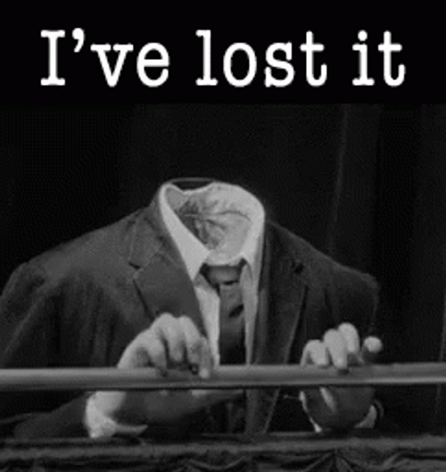 Literally Losing My Mind GIF