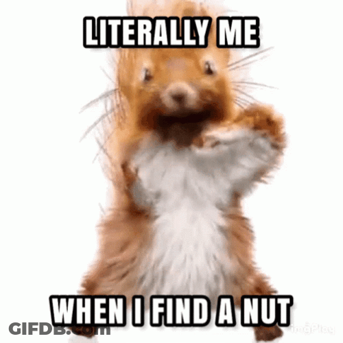 Literally Me When I Find A Nut GIF
