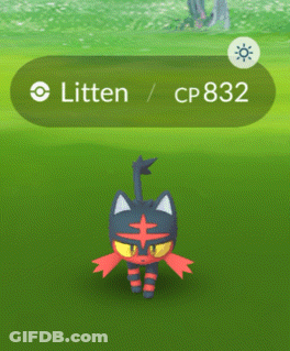 Litten Pokemon CP 832 In Grass GIF
