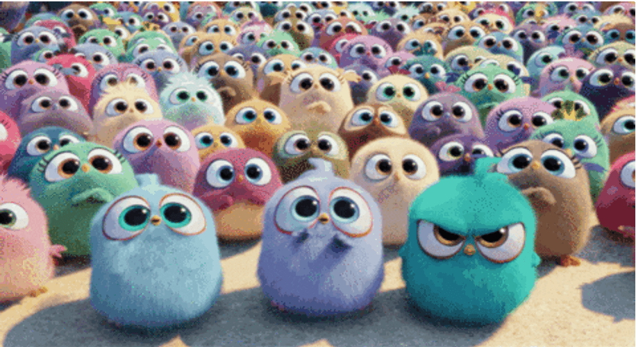 Little Birds Getting Mad & Angry GIF