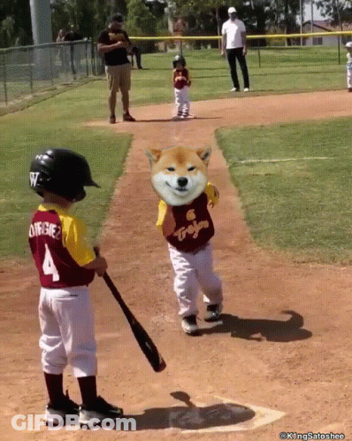 Little Boy Baseball Player Number 4 GIF
