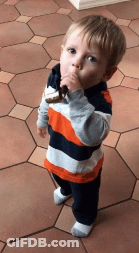 Little Boy Eating Cookie On Tiled Floor GIF