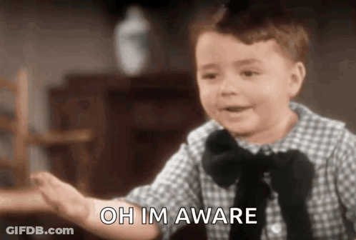Little Boy In Plaid Shirt And Bow Tie High Fiving Saying Oh Im Aware GIF