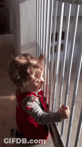 Little Boy In Red Vest Looking Through Bars GIF
