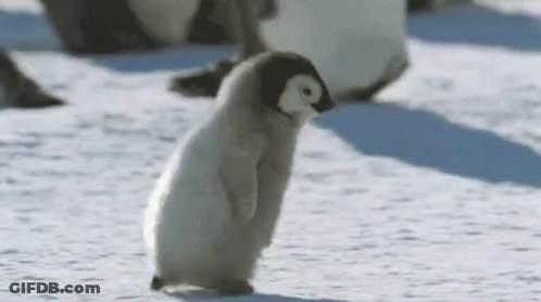 Little Boy Making Funny Face Saying You Treating GIF