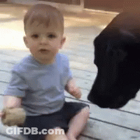 Little Boy Sitting On Deck Next To Black Dog GIF