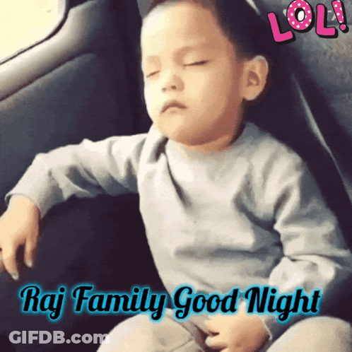 Little Boy Sleeping In Car Raj Family Good Night GIF