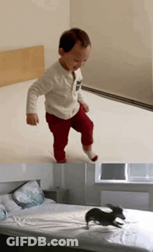 Little Boy Standing On Bed Beside Dog GIF