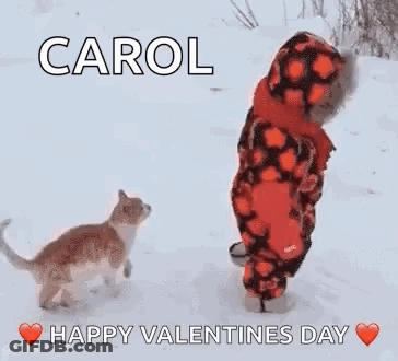 Little Boy Walking In Snow Next To Cat GIF