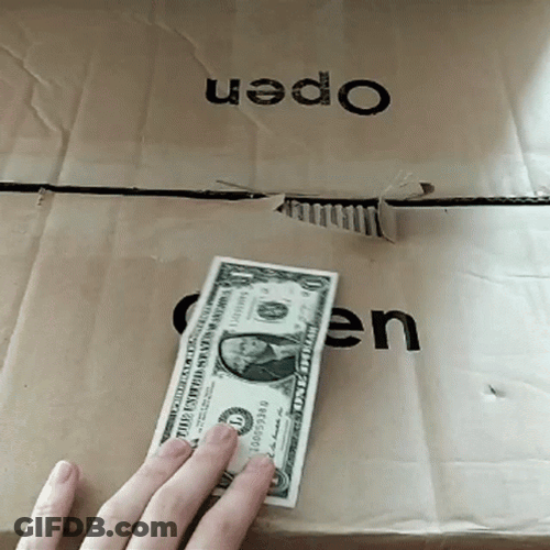 Little Cat In The Box Get Dollar Bill GIF