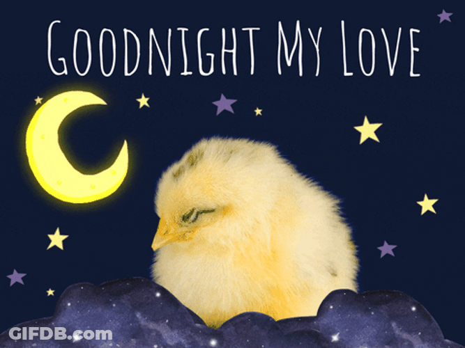 Little Chick Sleeping Good Night Love GIF