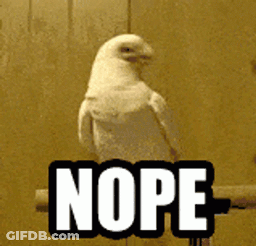 Little Corella Nope Meme GIF