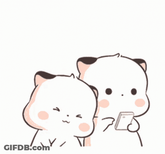 Little Cute Fatty Cat Asking Attention GIF