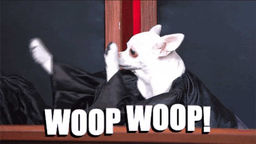 Little Dog Judge Whoop Whoop Dance GIF