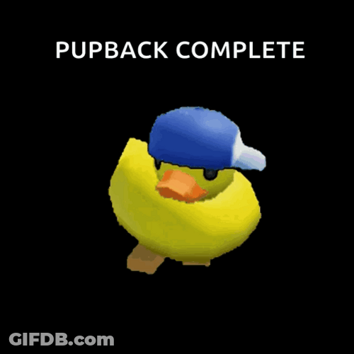 Little Duck Dance On The Beat GIF