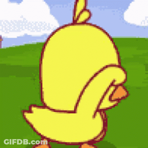Little Duck Searching Around Dance GIF