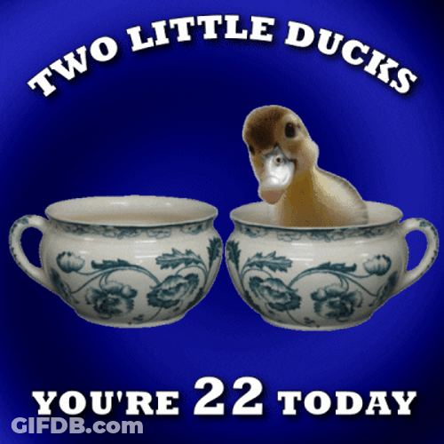 Little Ducks Greeted Happy 22 GIF