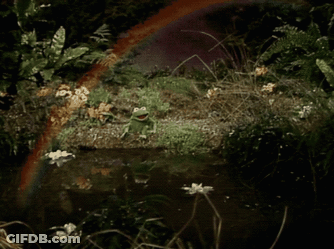 Little Frog In Swamp Side GIF