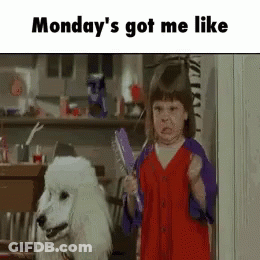 Little Girl Holding Brush Beside Poodle GIF