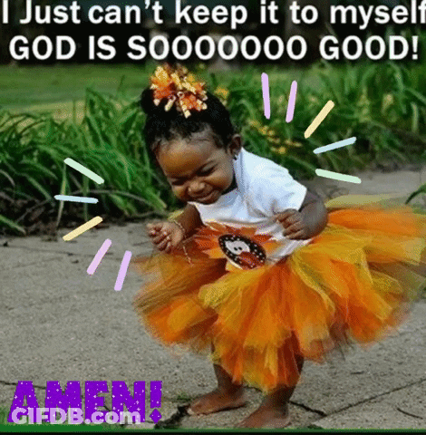 Little Girl In Orange Tutu GIF