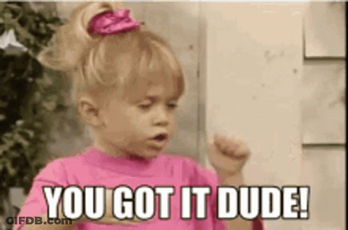 Little Girl In Pink Shirt Saying You Got It Dude GIF