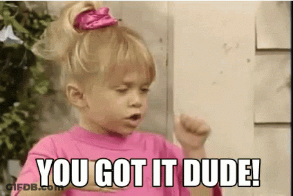 Little Girl In Pink Shirt Saying You Got It Dude GIF
