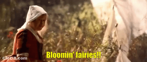 Little Girl In Red Dress Says Bloomin Fairies GIF