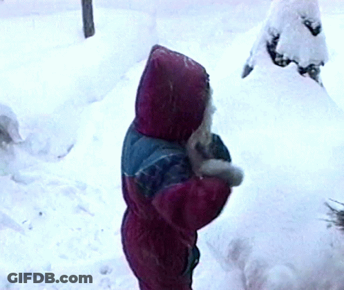Little Girl In Red Hooded Jacket Standing In Snow GIF
