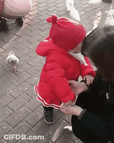 Little Girl In Red Jacket Feeding Pigeons GIF