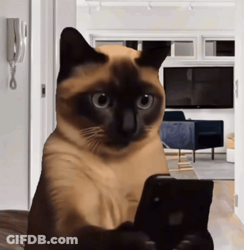Little Girl In Suit And Tie Crying With Fist In Air GIF