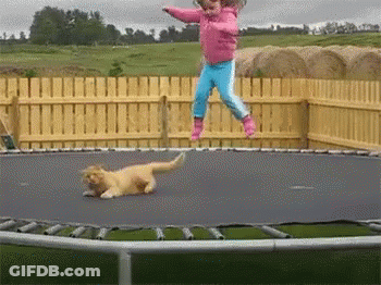 Little Girl Jumping On Trampoline With Cat GIF