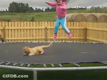 Little Girl Jumping On Trampoline With Dog GIF
