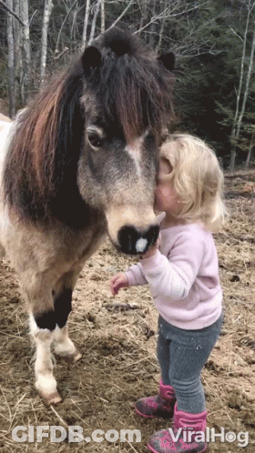 Little Girl Kisses Pony On Nose Viralhog Video GIF