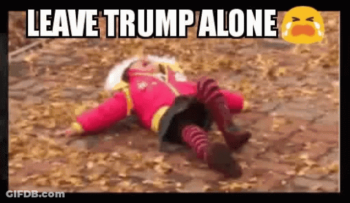 Little Girl Laying On Ground Leave Trump Alone GIF