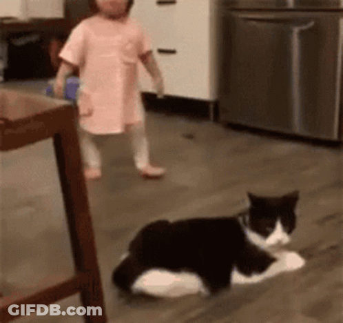 Little Girl Next To Black And White Cat GIF