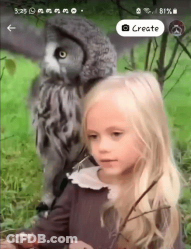 Little Girl Next To Owl Saying Create GIF